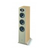 Focal Theva N2 | Focal | DOYMO Sitges