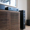 Nad C 379 ( Amplificador DAC HybridDigital ) | Alta Fidelidad | DOYMO Sitges