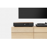 Cambridge Audio EVO One