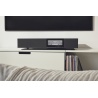 Cambridge Audio EVO One