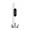 DALI EPIKORE 9 Columna high-end de 4 vías | Alta Fidelidad | DOYMO Sitges