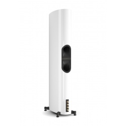 DALI EPIKORE 11 | Columna 4.5 Vías | DOYMO