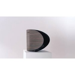 BOWERS & WILKINS FORMATION WEDGE (Sistema de Audio Inalámbrico)
