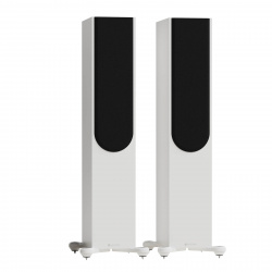 Monitor Audio Silver 300 8G | Altavoz de suelo Alta Fidelidad | DOYMO Sitges